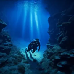 An underwater diver in the ocean